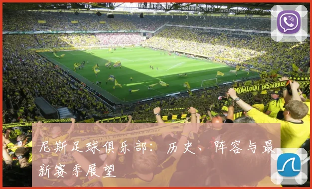 尼斯足球俱乐部:历史、阵容与最新赛季展望
