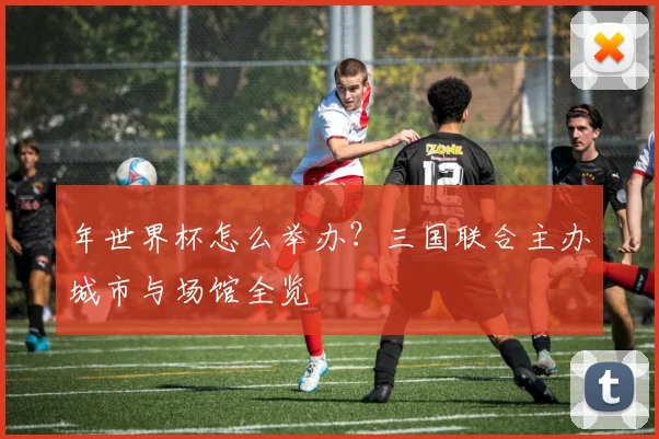 年世界杯怎么举办？三国联合主办城市与场馆全览